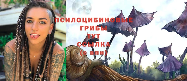 прущие крисы Балабаново