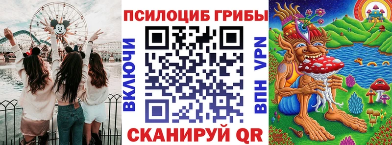 продажа наркотиков Мезень Псилоцибиновые грибы MAGIC MUSHROOMS